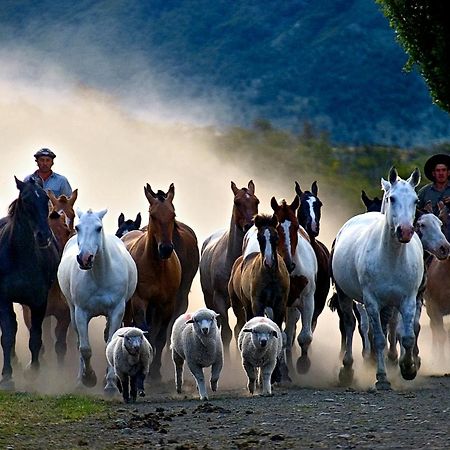 Estancia Nibepo Aike Colonia Francisco Perito Moreno Eksteriør bilde