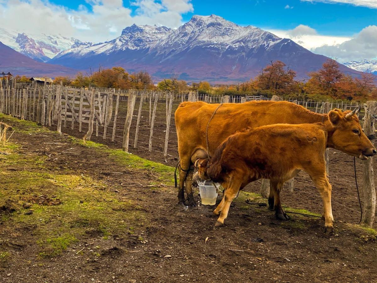 Estancia Nibepo Aike Colonia Francisco Perito Moreno Eksteriør bilde