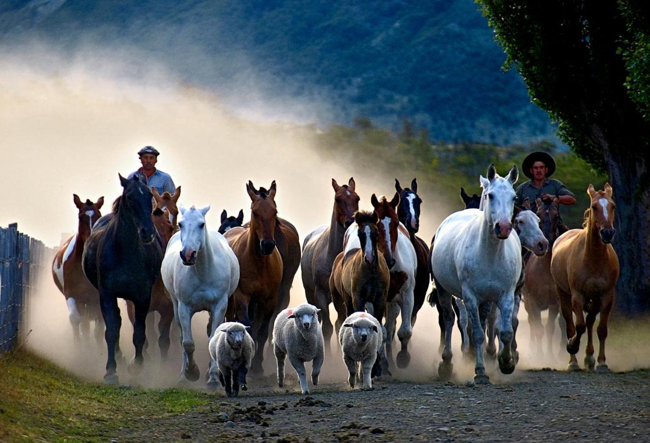 Estancia Nibepo Aike Colonia Francisco Perito Moreno Eksteriør bilde