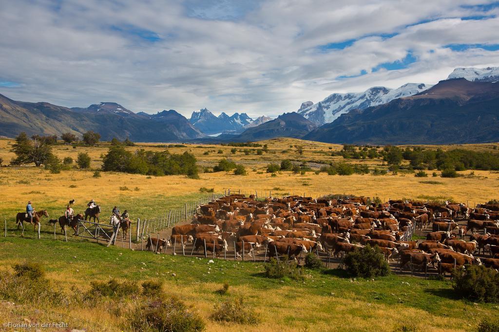 Estancia Nibepo Aike Colonia Francisco Perito Moreno Eksteriør bilde