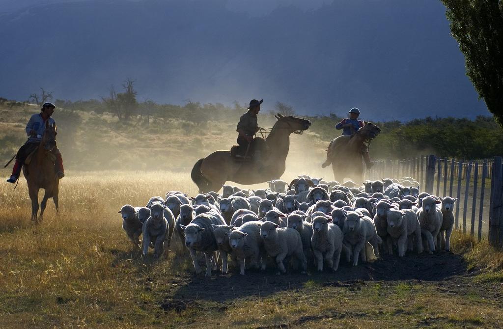 Estancia Nibepo Aike Colonia Francisco Perito Moreno Eksteriør bilde